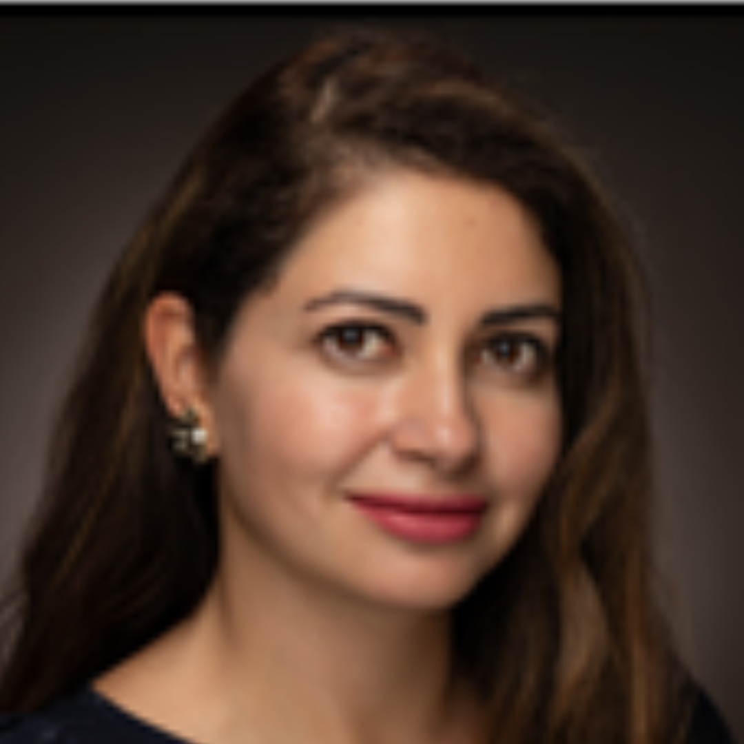 Nafiseh Ebrahimi